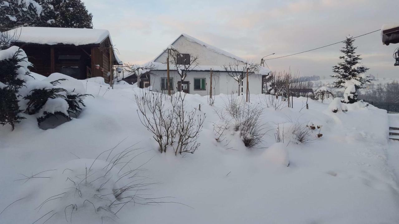 Staś -przy szkole nr 3 w Skawie Skawa Zewnętrze zdjęcie