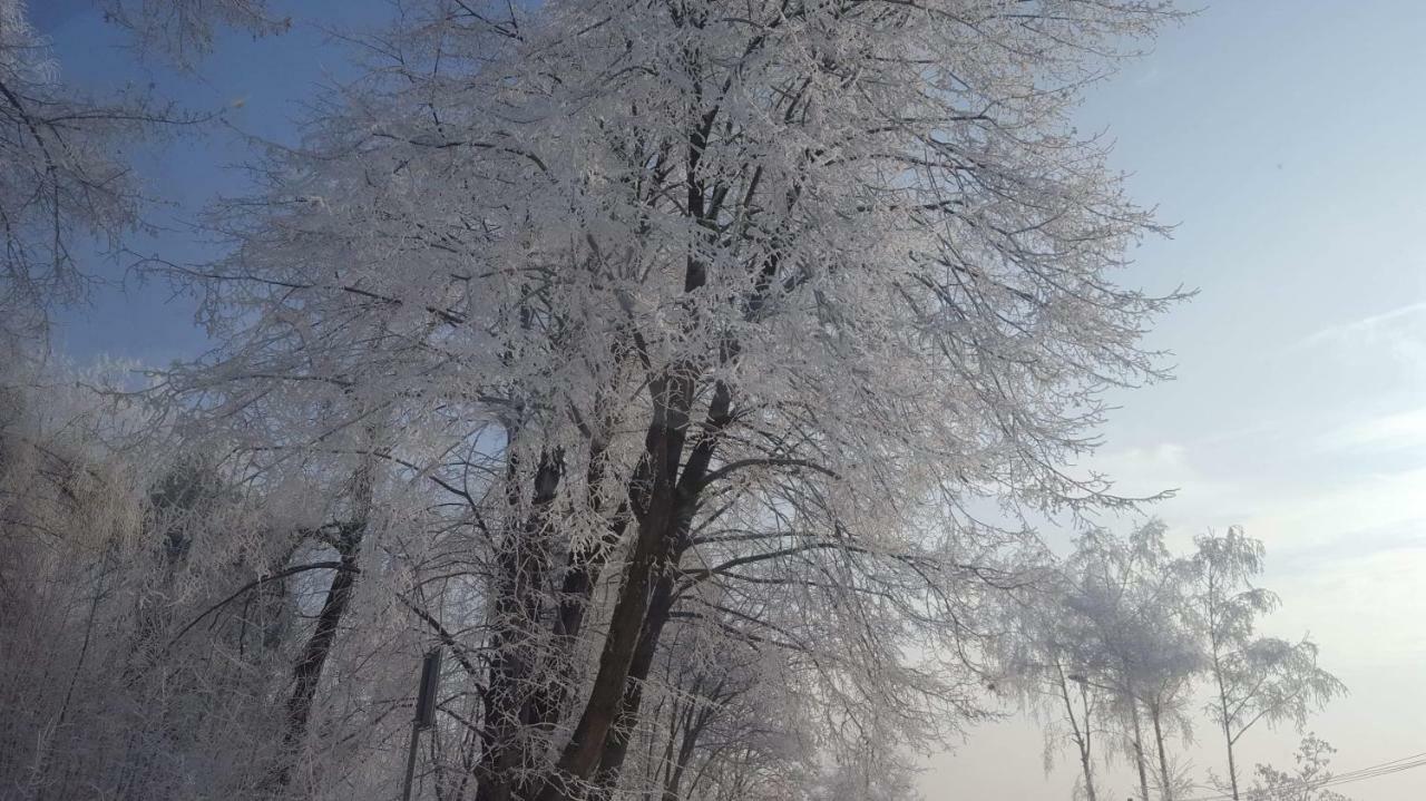 Staś -przy szkole nr 3 w Skawie Skawa Zewnętrze zdjęcie