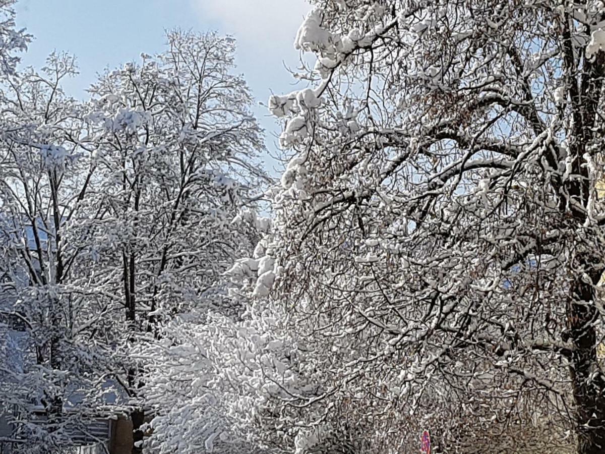 Staś -przy szkole nr 3 w Skawie Skawa Zewnętrze zdjęcie